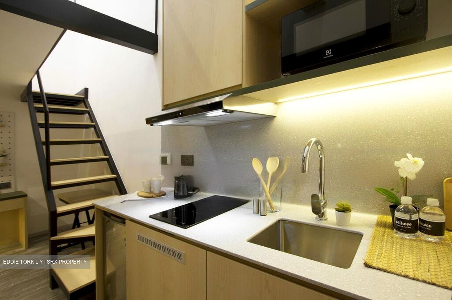 Balestier Road (D12), Apartment #473457561